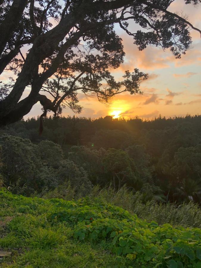 Muriwai Lodge エクステリア 写真