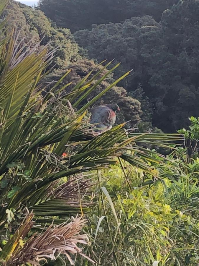 Muriwai Lodge エクステリア 写真